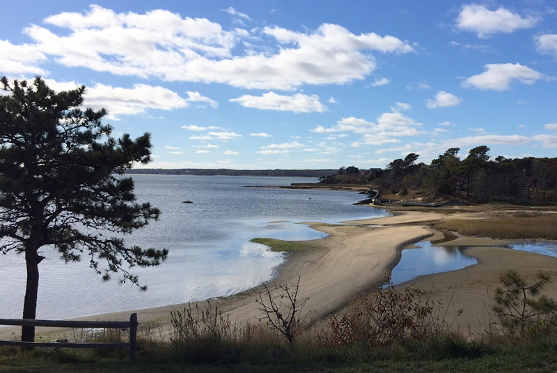 cape cod surveyor